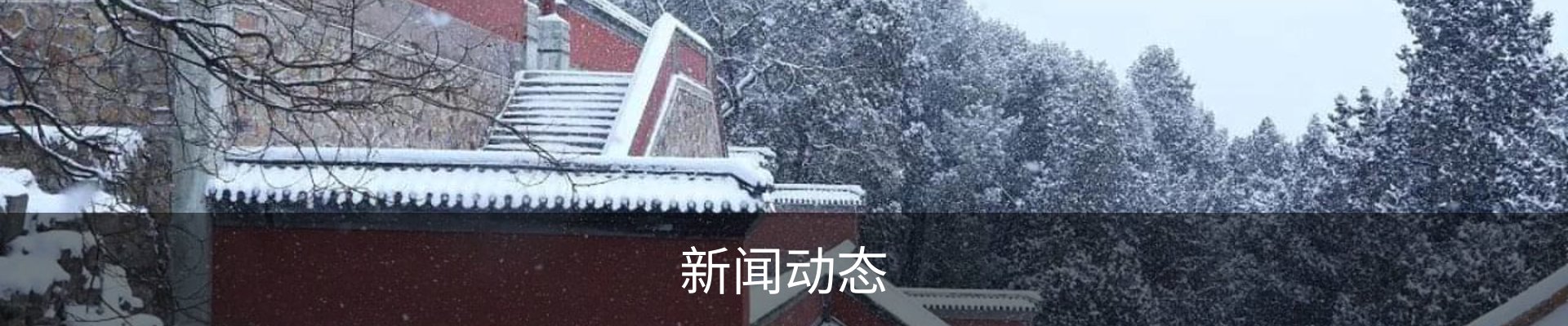新闻动态